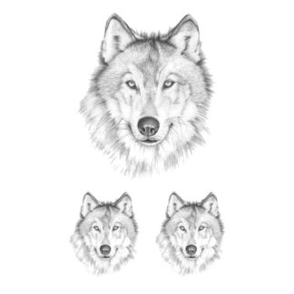 Faux tatouage loup naturel
