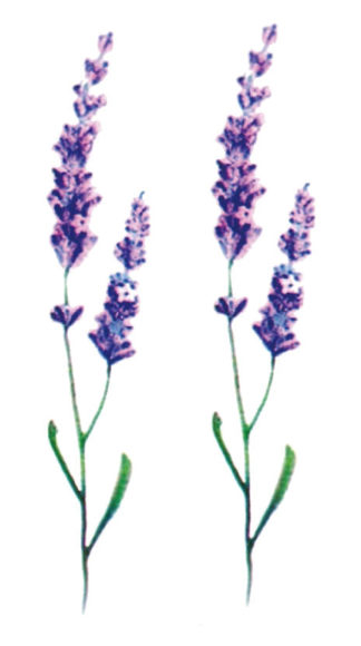 Tattoo fines fleurs violettes